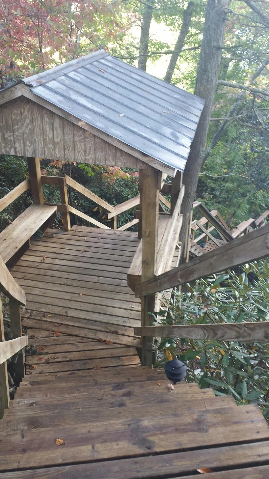 Metal roofed shelter over wooden steps on a wooded walkway — Skylight Repair & Installation work by our crew in Davy