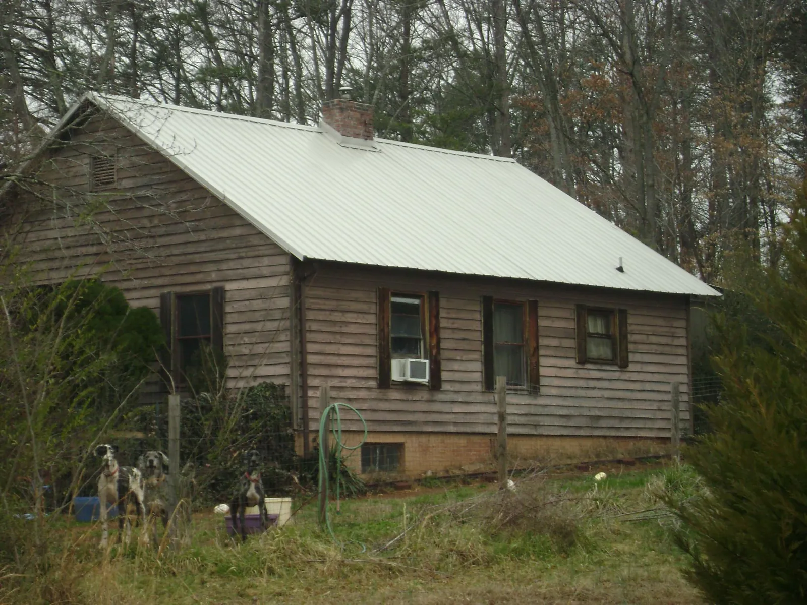 White metal roof on an old wood sided farmhouse, from a Asphalt Shingle Roof Repair job in Davy